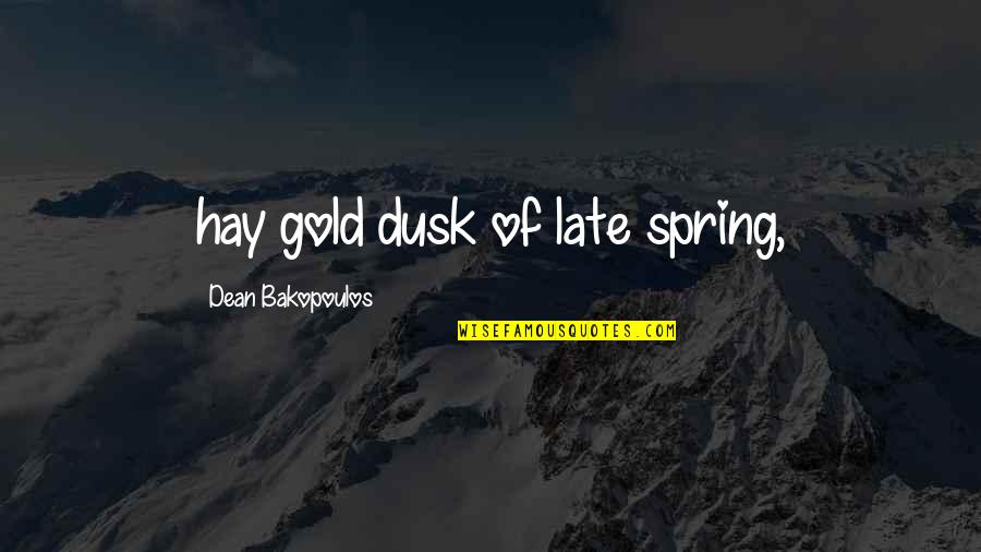 Berghauer Obraz Quotes By Dean Bakopoulos: hay gold dusk of late spring,