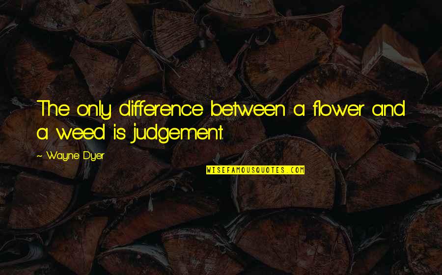 Bergia Ammannioides Quotes By Wayne Dyer: The only difference between a flower and a