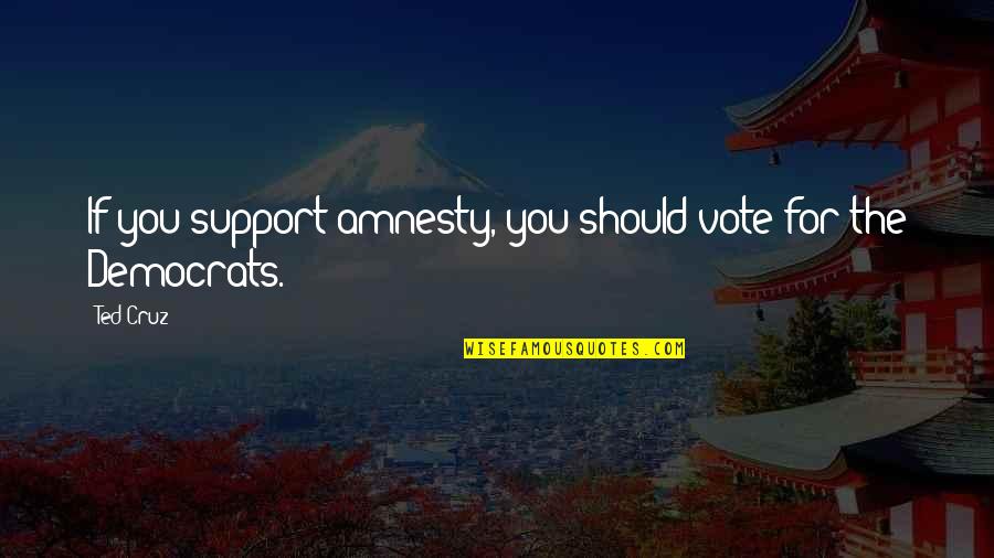 Bergseth Beer Quotes By Ted Cruz: If you support amnesty, you should vote for