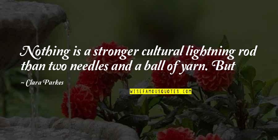 Bergstrom Chevy Quotes By Clara Parkes: Nothing is a stronger cultural lightning rod than