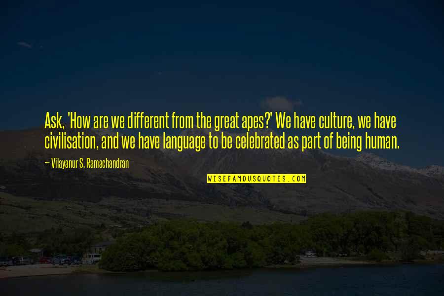 Berinfell Prophecies Quotes By Vilayanur S. Ramachandran: Ask, 'How are we different from the great Berinfell Prophecies Quotes By Vilayanur S. Ramachandran: Ask, 'How are we different from the great