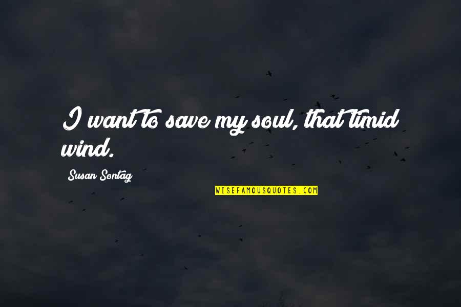 Berisso Ciudad Quotes By Susan Sontag: I want to save my soul, that timid