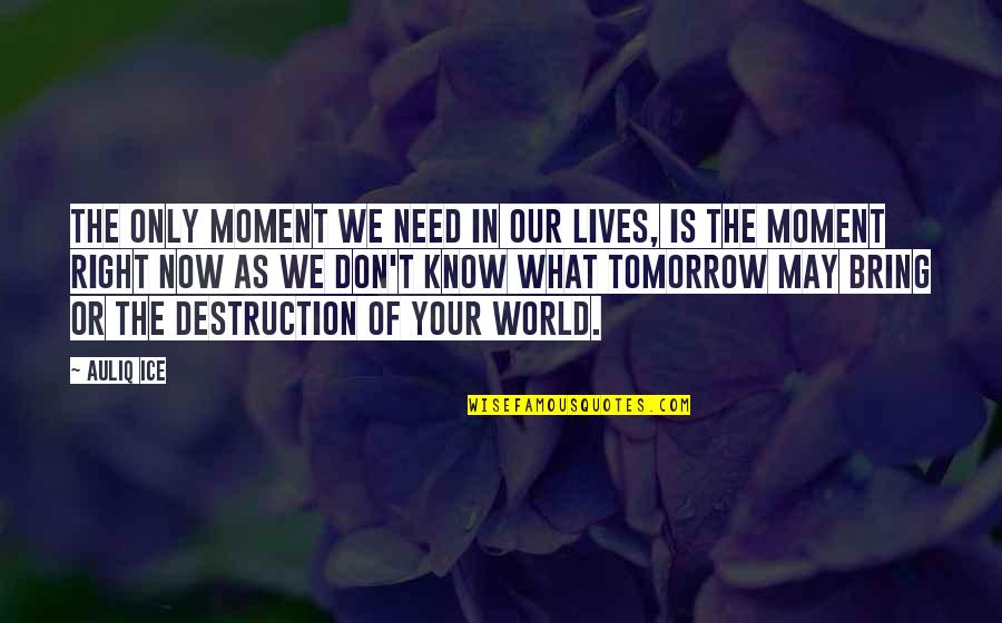 Beristain Construction Quotes By Auliq Ice: The only moment we need in our lives, Beristain Construction Quotes By Auliq Ice: The only moment we need in our lives,