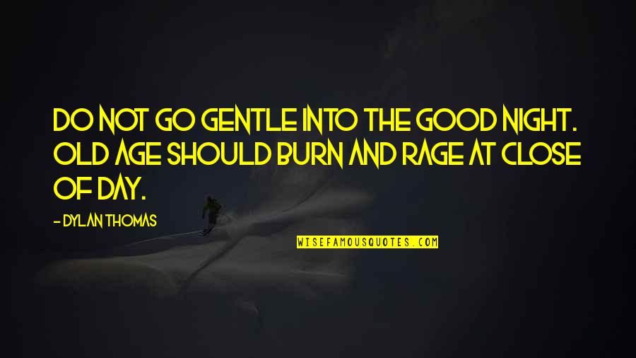 Berjalan Jalan Quotes By Dylan Thomas: Do not go gentle into the good night.