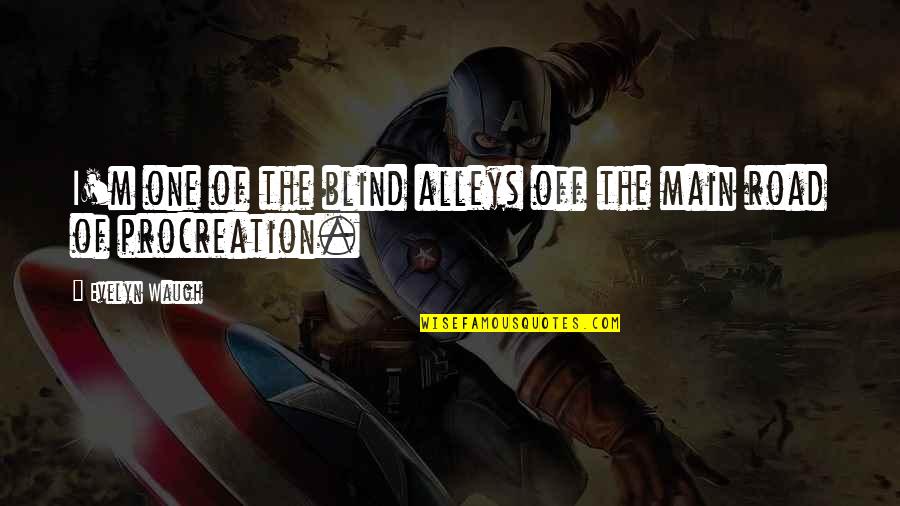 Berkelahi Buku Quotes By Evelyn Waugh: I'm one of the blind alleys off the