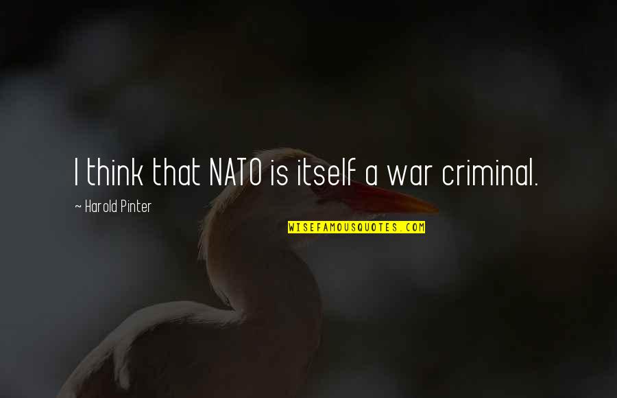 Berkongsi Makanan Quotes By Harold Pinter: I think that NATO is itself a war
