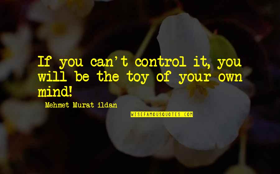 Berlinski Quotes By Mehmet Murat Ildan: If you can't control it, you will be