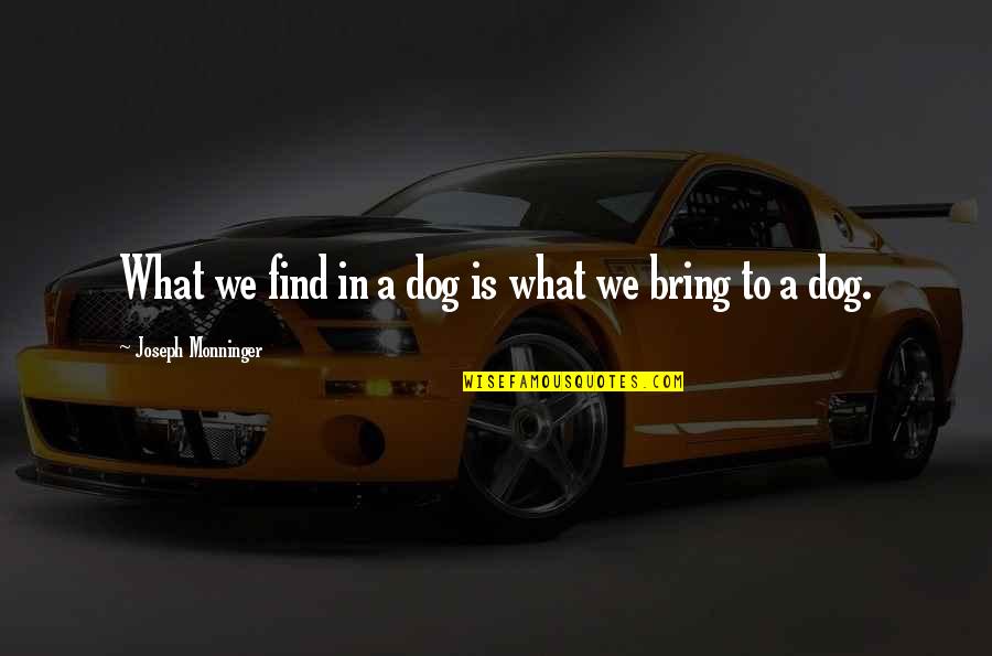 Bernabeu Quotes By Joseph Monninger: What we find in a dog is what Bernabeu Quotes By Joseph Monninger: What we find in a dog is what