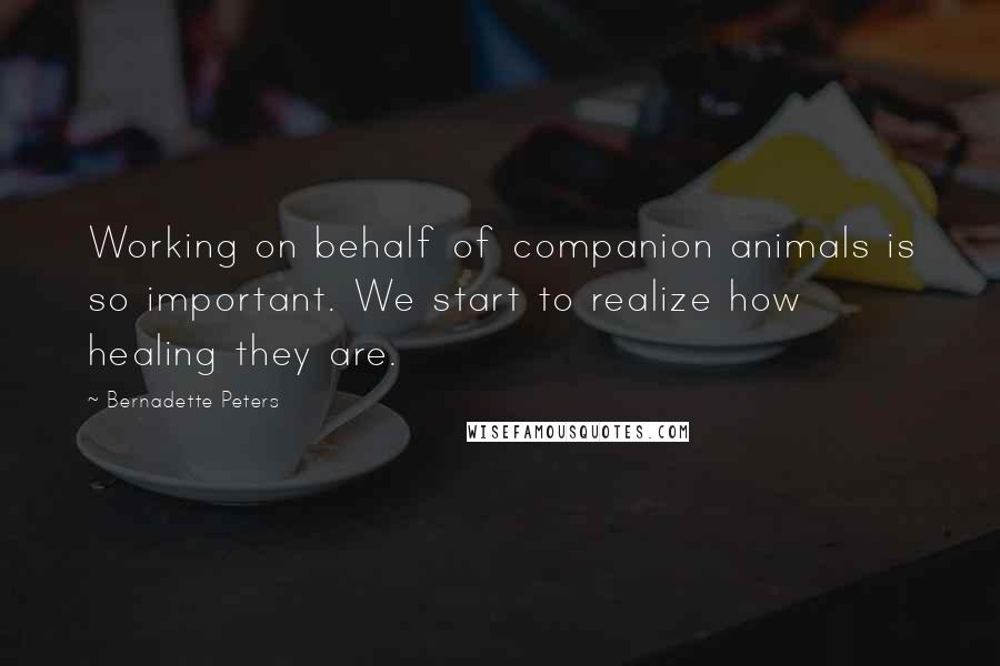 Bernadette Peters quotes: Working on behalf of companion animals is so important. We start to realize how healing they are.