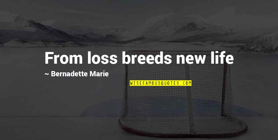 Bernadette Quotes By Bernadette Marie: From loss breeds new life Bernadette Quotes By Bernadette Marie: From loss breeds new life