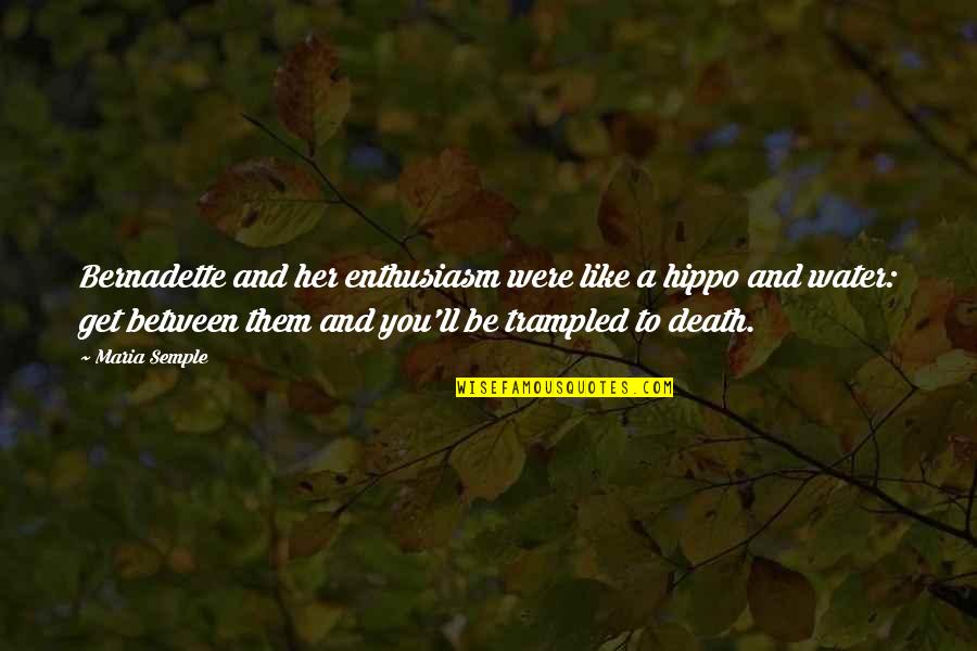 Bernadette Quotes By Maria Semple: Bernadette and her enthusiasm were like a hippo Bernadette Quotes By Maria Semple: Bernadette and her enthusiasm were like a hippo