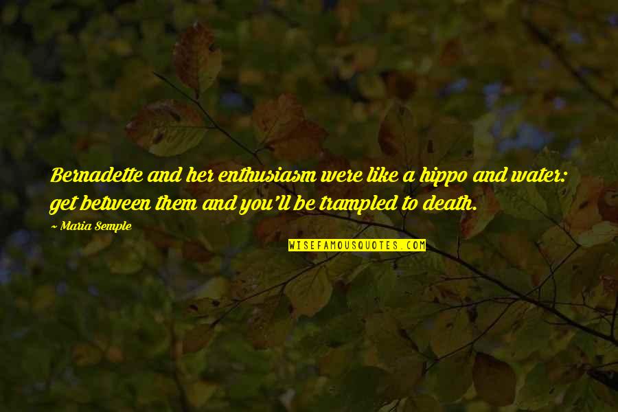 Bernadette's Quotes By Maria Semple: Bernadette and her enthusiasm were like a hippo