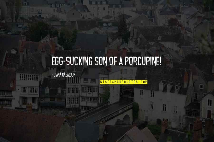 Bernaldo Ortiz Quotes By Diana Gabaldon: Egg-sucking son of a porcupine! Bernaldo Ortiz Quotes By Diana Gabaldon: Egg-sucking son of a porcupine!