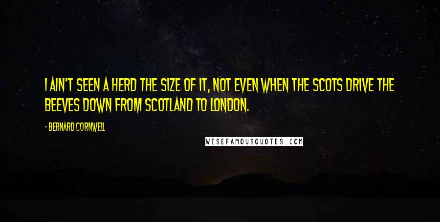 Bernard Cornwell quotes: I ain't seen a herd the size of it, not even when the Scots drive the beeves down from Scotland to London.
