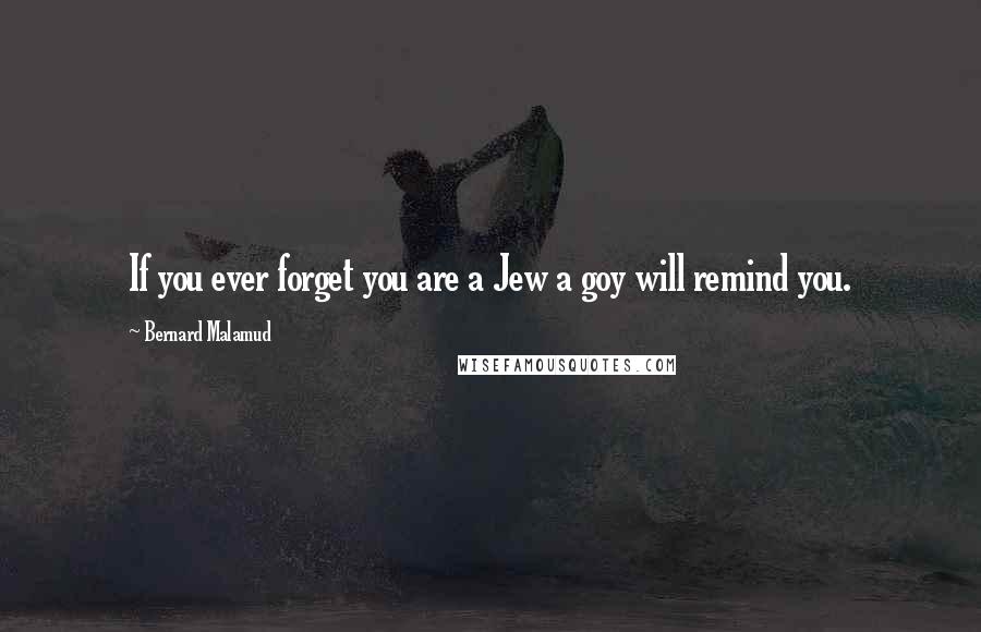 Bernard Malamud quotes: If you ever forget you are a Jew a goy will remind you.