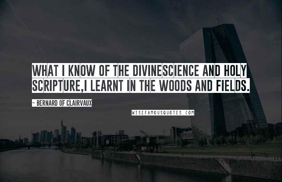 Bernard Of Clairvaux quotes: What I know of the divinescience and holy scripture,I learnt in the woods and fields.