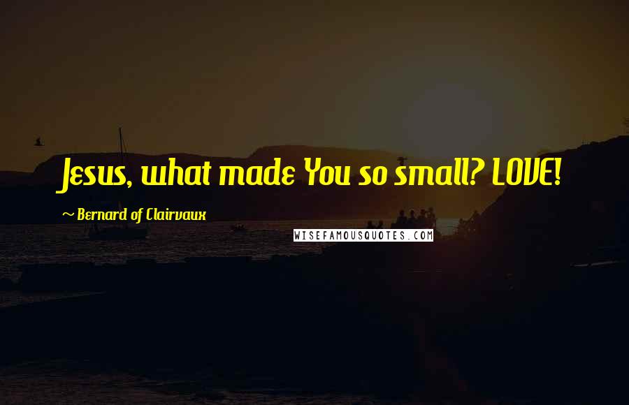 Bernard Of Clairvaux quotes: Jesus, what made You so small? LOVE!