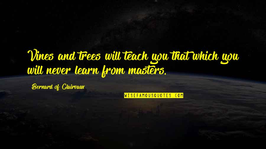 Bernard Of Clairvaux Quotes By Bernard Of Clairvaux: Vines and trees will teach you that which Bernard Of Clairvaux Quotes By Bernard Of Clairvaux: Vines and trees will teach you that which