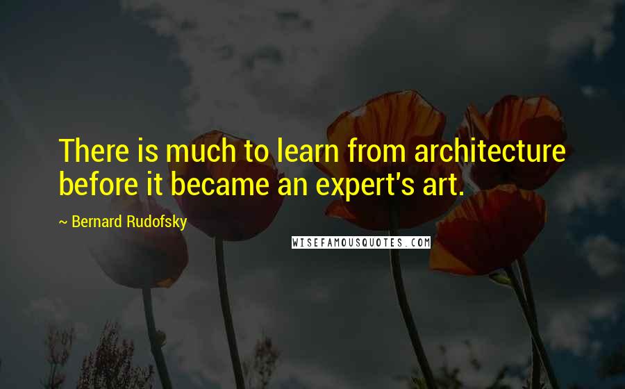 Bernard Rudofsky quotes: There is much to learn from architecture before it became an expert's art.