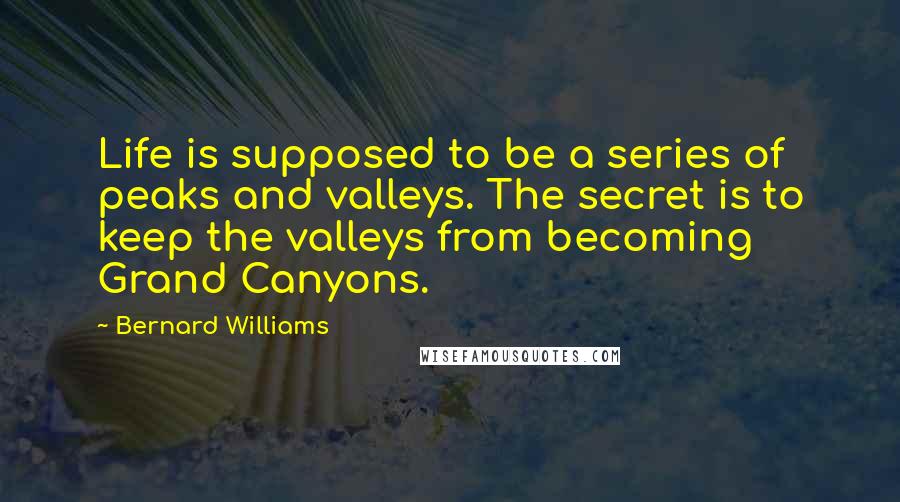 Bernard Williams quotes: Life is supposed to be a series of peaks and valleys. The secret is to keep the valleys from becoming Grand Canyons.