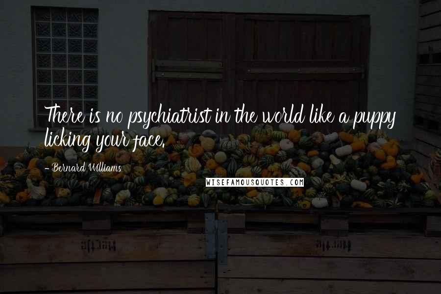 Bernard Williams quotes: There is no psychiatrist in the world like a puppy licking your face.