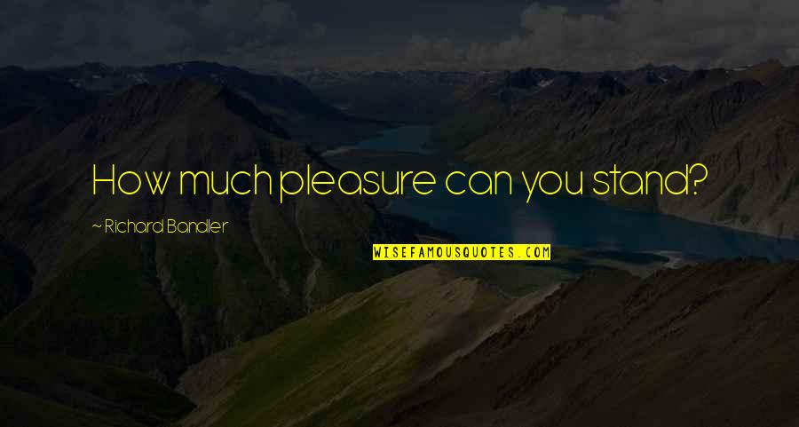 Bernardin Mason Quotes By Richard Bandler: How much pleasure can you stand?