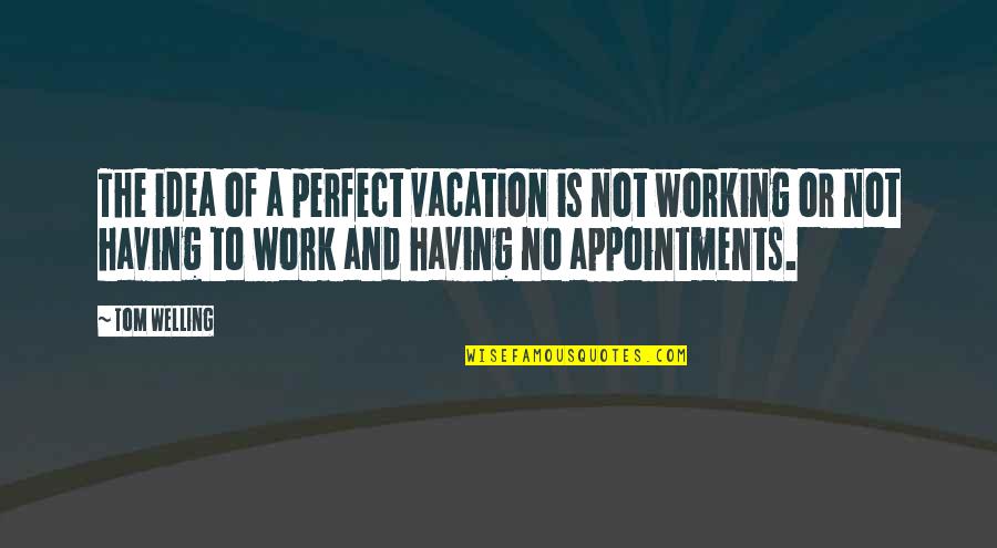 Bernardo Kastrup Quotes By Tom Welling: The idea of a perfect vacation is not Bernardo Kastrup Quotes By Tom Welling: The idea of a perfect vacation is not