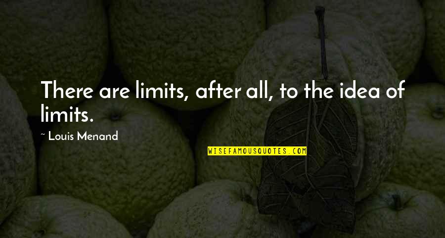 Bernau Estate Quotes By Louis Menand: There are limits, after all, to the idea