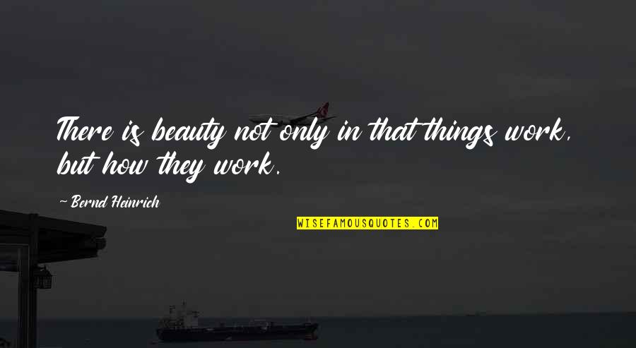 Bernd Heinrich Quotes By Bernd Heinrich: There is beauty not only in that things