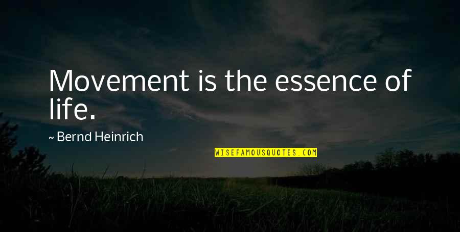 Bernd Heinrich Quotes By Bernd Heinrich: Movement is the essence of life.