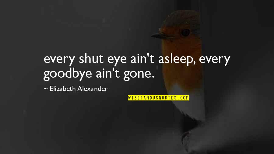 Berndlalm Quotes By Elizabeth Alexander: every shut eye ain't asleep, every goodbye ain't