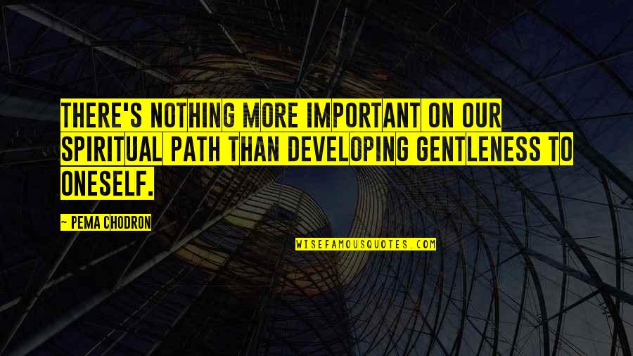 Berne Quotes By Pema Chodron: There's nothing more important on our spiritual path