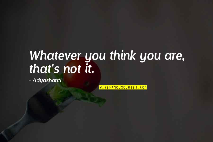 Bernice King Meme Justice Quotes By Adyashanti: Whatever you think you are, that's not it. Bernice King Meme Justice Quotes By Adyashanti: Whatever you think you are, that's not it.