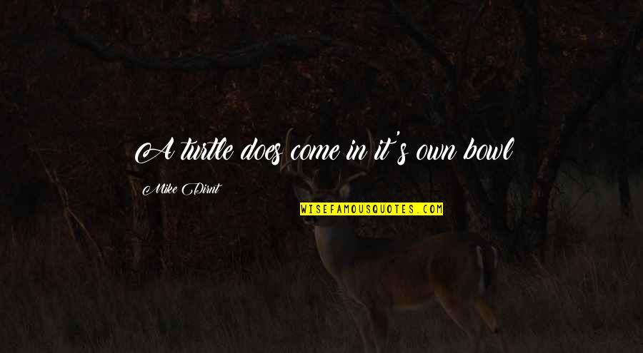 Bernie Bickerstaff Quotes By Mike Dirnt: A turtle does come in it's own bowl Bernie Bickerstaff Quotes By Mike Dirnt: A turtle does come in it's own bowl