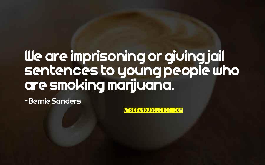Bernie Quotes By Bernie Sanders: We are imprisoning or giving jail sentences to Bernie Quotes By Bernie Sanders: We are imprisoning or giving jail sentences to