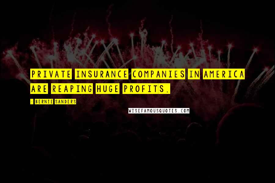 Bernie Sanders quotes: Private insurance companies in America are reaping huge profits.