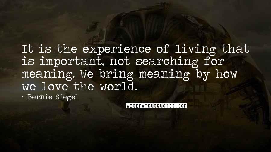 Bernie Siegel quotes: It is the experience of living that is important, not searching for meaning. We bring meaning by how we love the world.