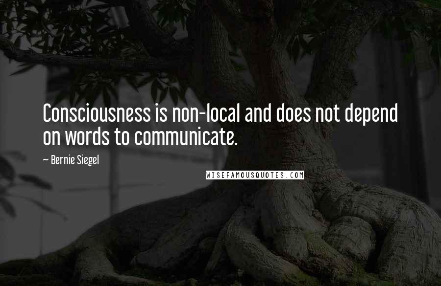Bernie Siegel quotes: Consciousness is non-local and does not depend on words to communicate.