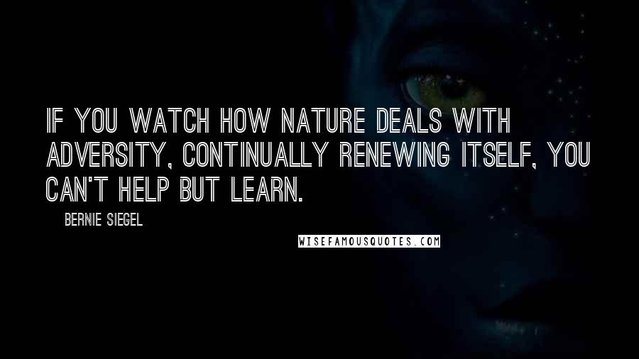 Bernie Siegel quotes: If you watch how nature deals with adversity, continually renewing itself, you can't help but learn. Bernie Siegel quotes: If you watch how nature deals with adversity, continually renewing itself, you can't help but learn.