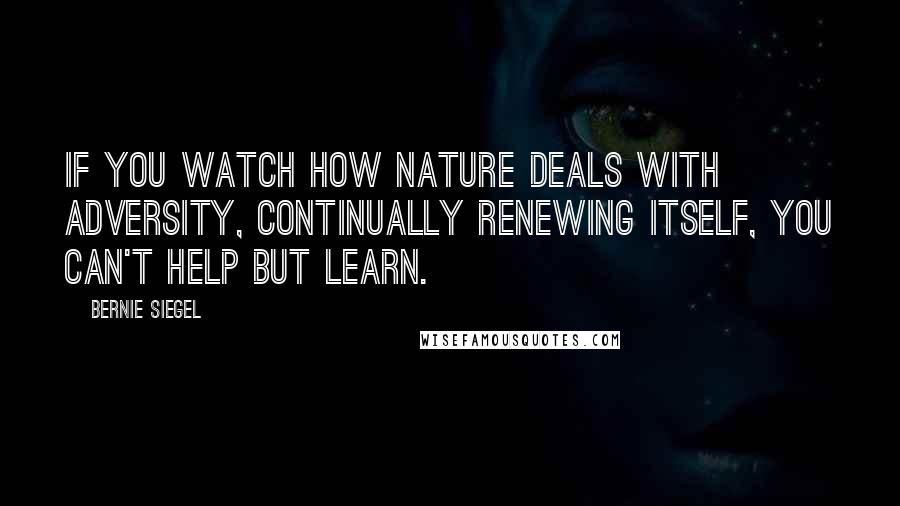 Bernie Siegel quotes: If you watch how nature deals with adversity, continually renewing itself, you can't help but learn.