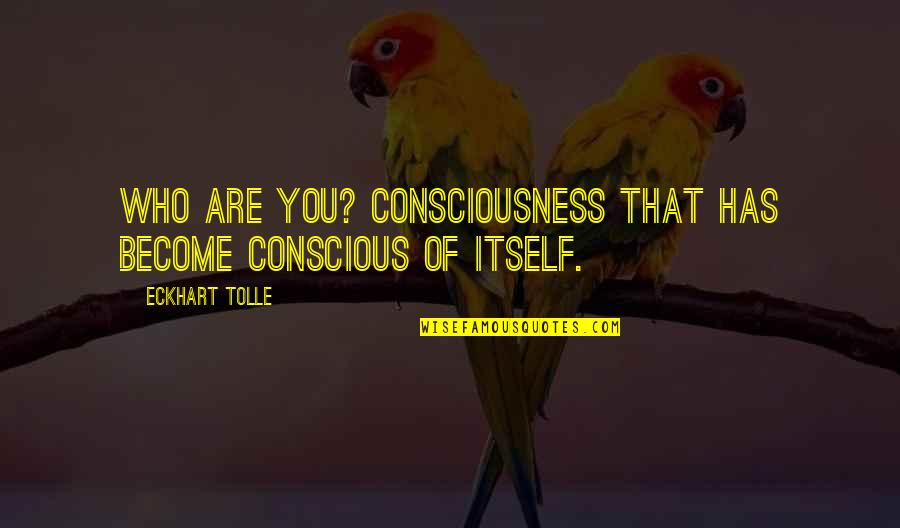 Bernini Quote Quotes By Eckhart Tolle: Who are you? Consciousness that has become conscious Bernini Quote Quotes By Eckhart Tolle: Who are you? Consciousness that has become conscious