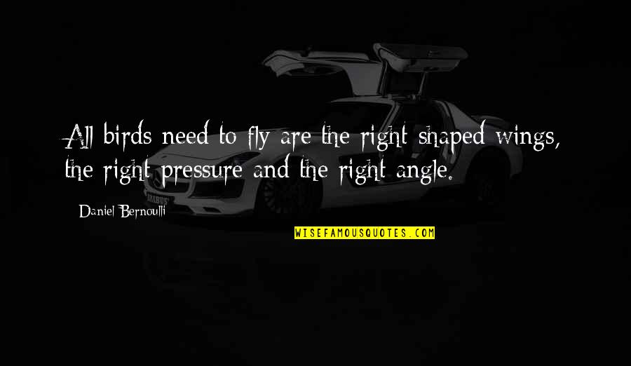 Bernoulli Quotes By Daniel Bernoulli: All birds need to fly are the right-shaped