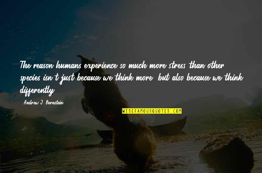 Bernstein's Quotes By Andrew J. Bernstein: The reason humans experience so much more stress