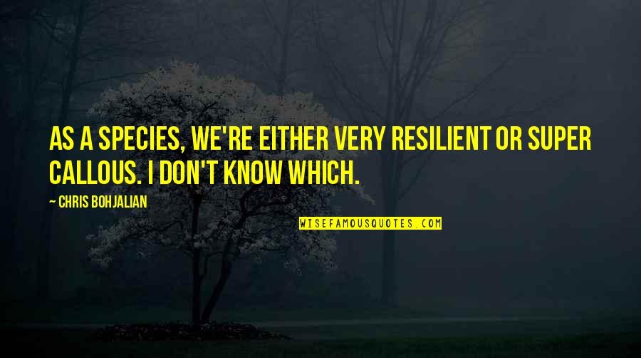 Berpegangan Quotes By Chris Bohjalian: As a species, we're either very resilient or