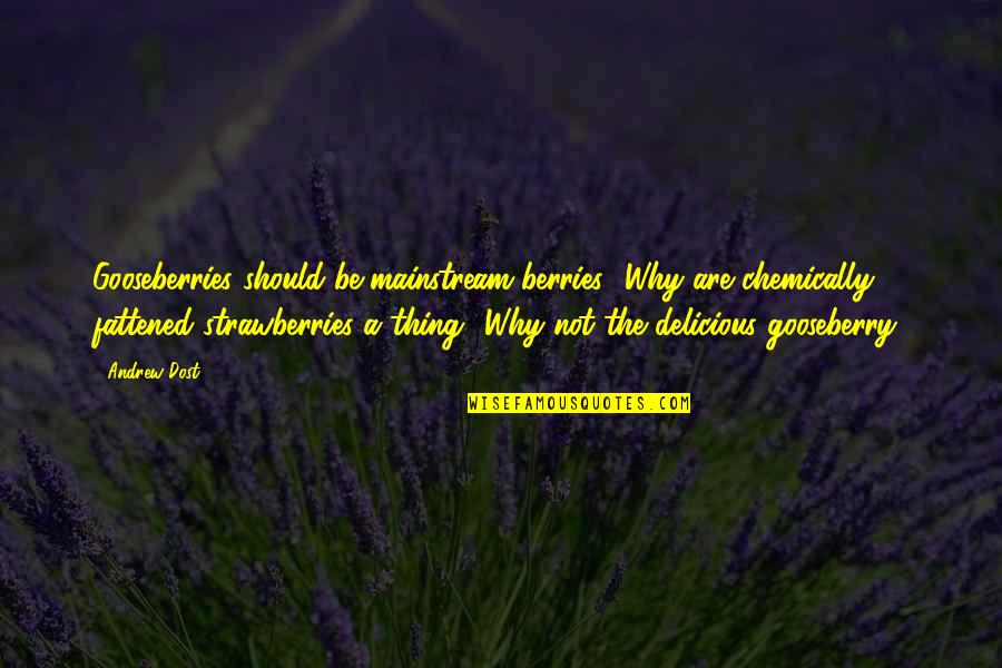 Berries Quotes By Andrew Dost: Gooseberries should be mainstream berries! Why are chemically
