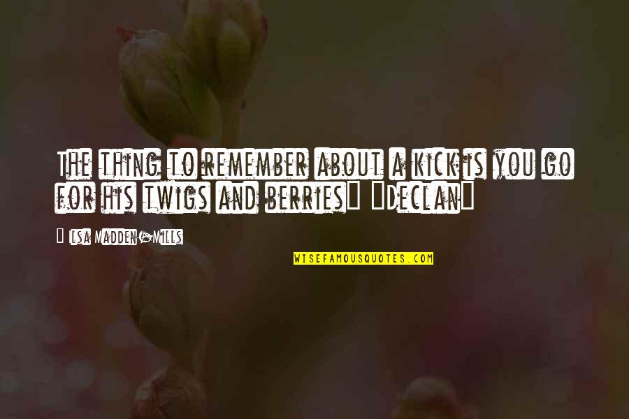 Berries Quotes By Ilsa Madden-Mills: The thing to remember about a kick is