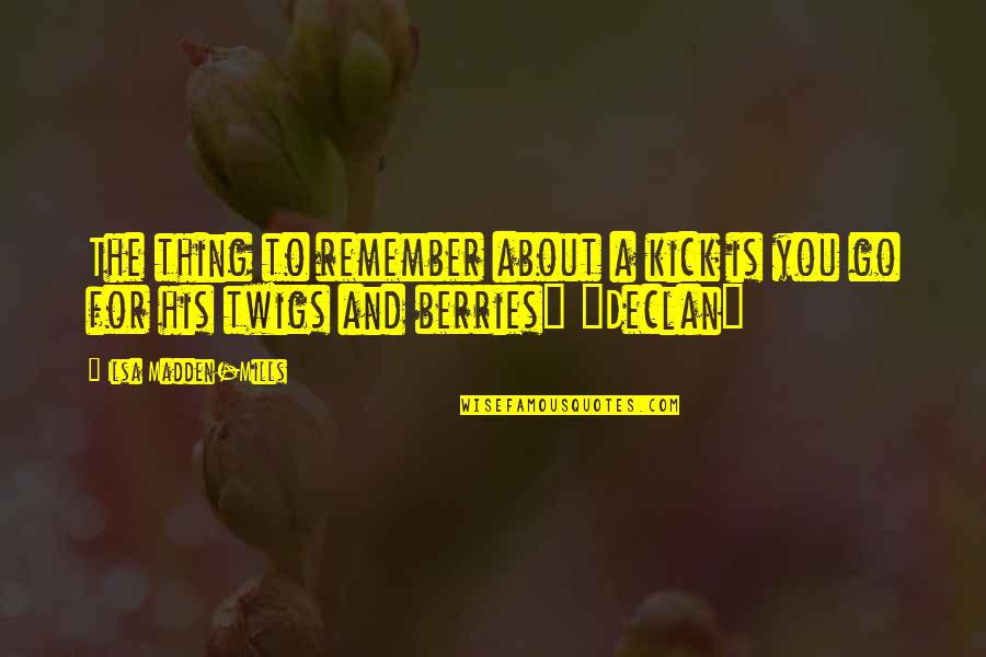 Berries Quotes Quotes By Ilsa Madden-Mills: The thing to remember about a kick is