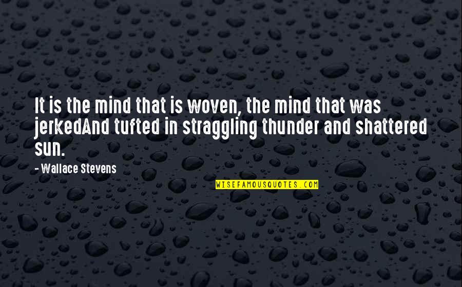 Berry Master Quotes By Wallace Stevens: It is the mind that is woven, the