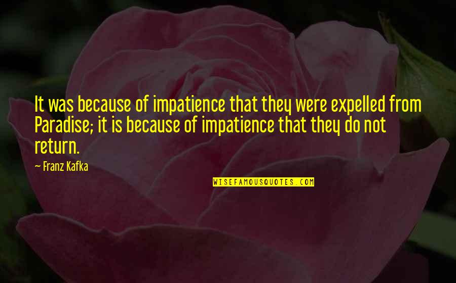 Berrybender Series Quotes By Franz Kafka: It was because of impatience that they were Berrybender Series Quotes By Franz Kafka: It was because of impatience that they were