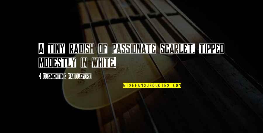 Bersabarlah Tuhan Quotes By Clementine Paddleford: A tiny radish of passionate scarlet, tipped modestly Bersabarlah Tuhan Quotes By Clementine Paddleford: A tiny radish of passionate scarlet, tipped modestly